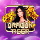 Dragon Tiger jiliko app live casino